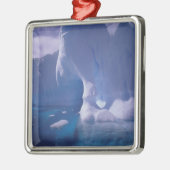 Antarctica. Antarctische ijlluizen 3 Metalen Ornament (Links)