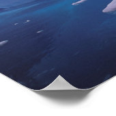 Antarctica. Antarctische ijlluizen 3 Poster (Hoek)