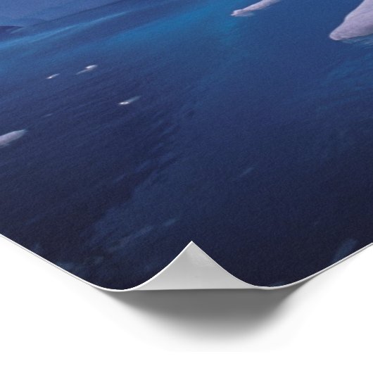 Antarctica. Antarctische ijlluizen 3 Poster (Hoek)