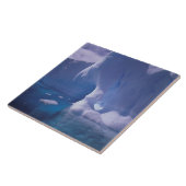 Antarctica. Antarctische ijlluizen 3 Tegeltje (Zijkant)