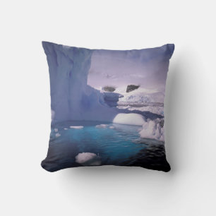 Antarctica. Antarctische ijslandschappen 2 Kussen