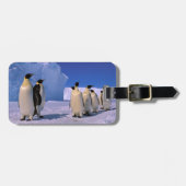 Antarctica, Australisch Antarctisch Gebied, 7 Bagagelabel (Voorkant horizontaal)