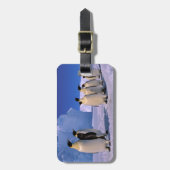 Antarctica, Australisch Antarctisch Gebied, 7 Bagagelabel (Voorkant verticaal)