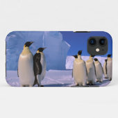 Antarctica, Australisch Antarctisch Gebied, 7 Case-Mate iPhone Case (Achterkant (horizontaal))