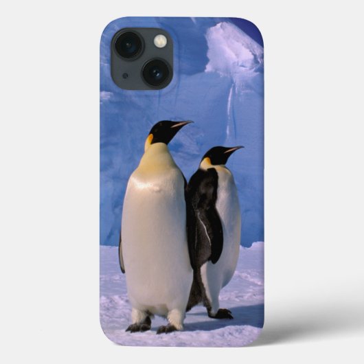 Antarctica, Australisch Antarctisch Gebied, 7 Case-Mate iPhone Case (Achterkant)