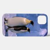 Antarctica, Australisch Antarctisch Gebied, 7 Case-Mate iPhone Case (Achterkant (horizontaal))