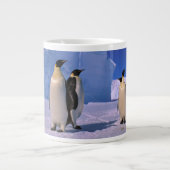 Antarctica, Australisch Antarctisch Gebied, 7 Grote Koffiekop (Voorkant)