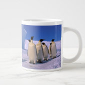 Antarctica, Australisch Antarctisch Gebied, 7 Grote Koffiekop (Rechts)