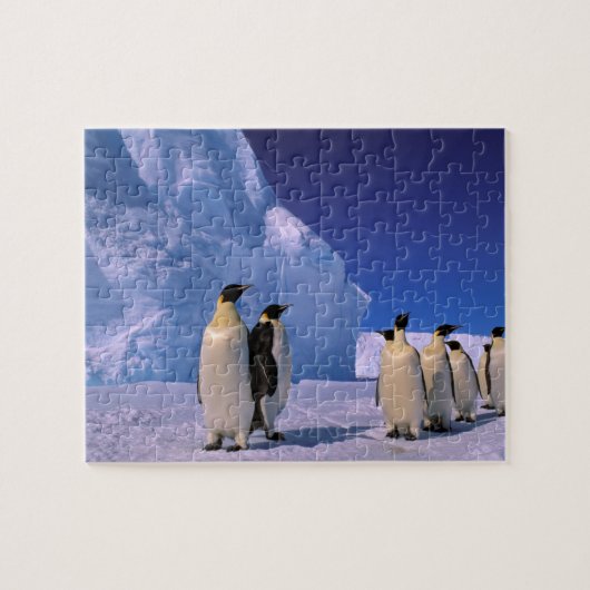 Antarctica, Australisch Antarctisch Gebied, 7 Legpuzzel (Horizontaal)