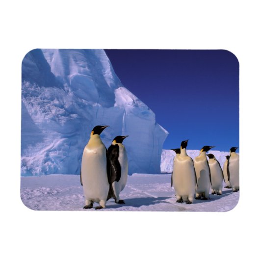 Antarctica, Australisch Antarctisch Gebied, 7 Magneet (Horizontaal)