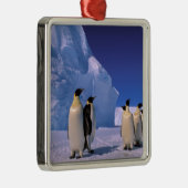 Antarctica, Australisch Antarctisch Gebied, 7 Metalen Ornament (Rechts)