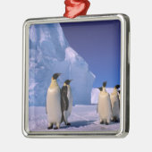 Antarctica, Australisch Antarctisch Gebied, 7 Metalen Ornament (Links)