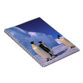 Antarctica, Australisch Antarctisch Gebied, 7 Notitieboek (Rechterzijde)