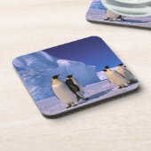 Antarctica, Australisch Antarctisch Gebied, 7 Onderzetter (Linkerzijde)