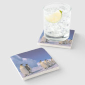 Antarctica, Australisch Antarctisch Gebied, 7 Stenen Onderzetter (Zijkant)