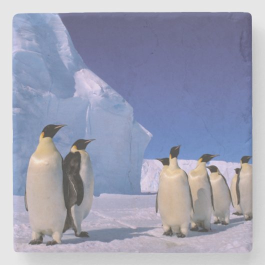 Antarctica, Australisch Antarctisch Gebied, 7 Stenen Onderzetter (Voorkant)