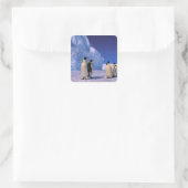 Antarctica, Australisch Antarctisch Gebied, 7 Vierkante Sticker (Tas)