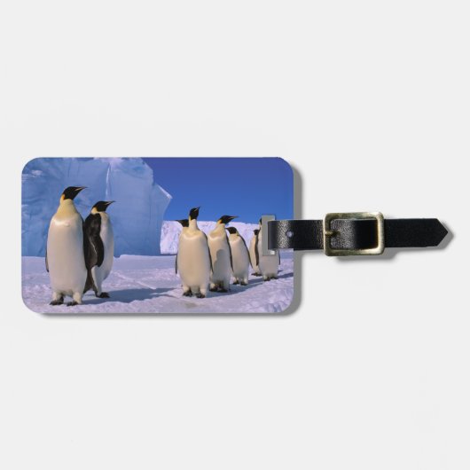 Antarctica, Australisch Antarctisch Territorium, 7 Bagagelabel (Voorkant horizontaal)