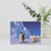 Antarctica, Australisch Antarctisch Territorium, 7 Briefkaart (Staand voorkant)