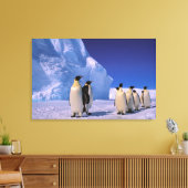 Antarctica, Australisch Antarctisch Territorium, 7 Canvas Afdruk (Insitu (Woonkamer))