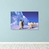 Antarctica, Australisch Antarctisch Territorium, 7 Canvas Afdruk (Insitu (Houten vloer))