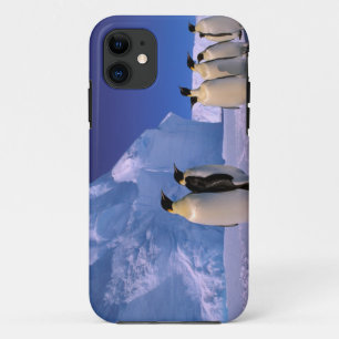 Antarctica, Australisch Antarctisch Territorium, 7 iPhone 11 Hoesje