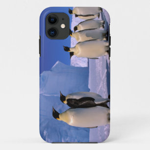 Antarctica, Australisch Antarctisch Territorium, 7 iPhone 11 Hoesje