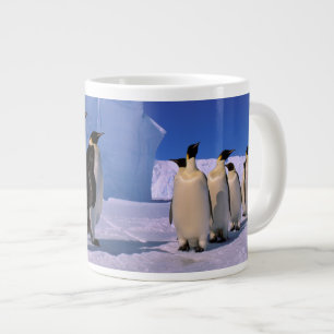 Antarctica, Australisch Antarctisch Territorium, 7 Grote Koffiekop