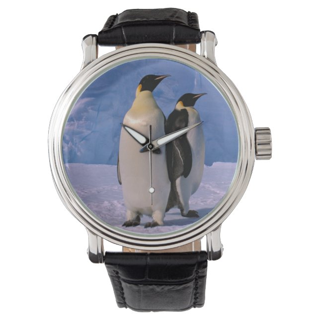 Antarctica, Australisch Antarctisch Territorium, 7 Horloge (Voorkant)
