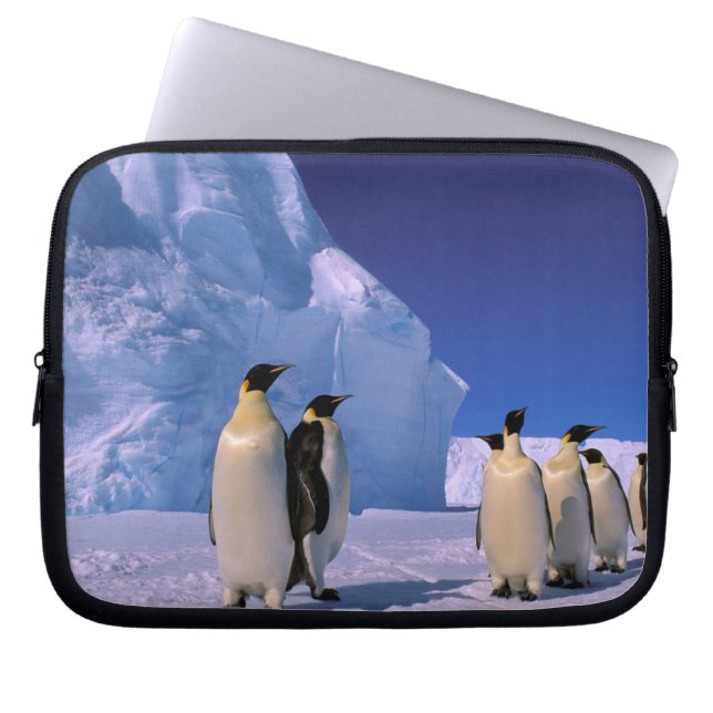 Antarctica, Australisch Antarctisch Territorium, 7 Laptop Sleeve (Voorkant)