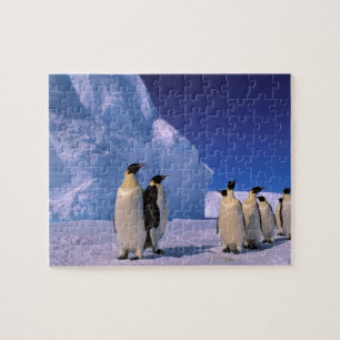 Antarctica, Australisch Antarctisch Territorium, 7 Legpuzzel