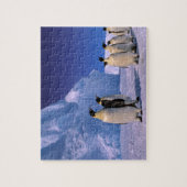 Antarctica, Australisch Antarctisch Territorium, 7 Legpuzzel (Verticaal)