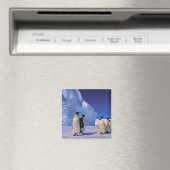 Antarctica, Australisch Antarctisch Territorium, 7 Magneet (Insitu (Vaatwasser))