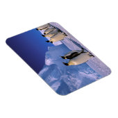 Antarctica, Australisch Antarctisch Territorium, 7 Magneet (Rechterzijde)