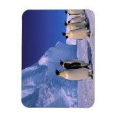 Antarctica, Australisch Antarctisch Territorium, 7 Magneet (Verticaal)