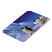 Antarctica, Australisch Antarctisch Territorium, 7 Magneet (Linkerzijde)