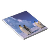 Antarctica, Australisch Antarctisch Territorium, 7 Notitieblok (Schuin)