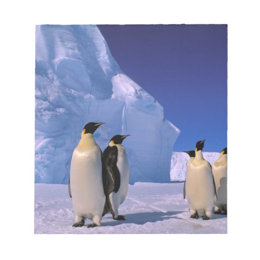 Antarctica, Australisch Antarctisch Territorium, 7 Notitieblok (Voorkant)