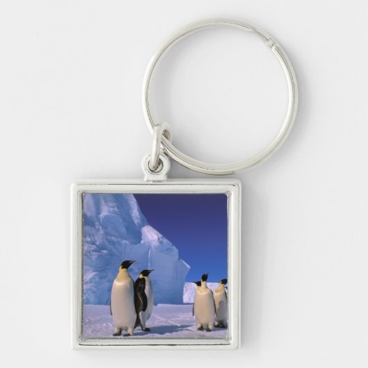 Antarctica, Australisch Antarctisch Territorium, 7 Sleutelhanger (Voorkant)