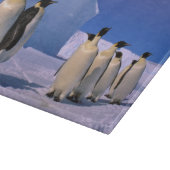 Antarctica, Australisch Antarctisch Territorium, 7 Snijplank (Hoek)