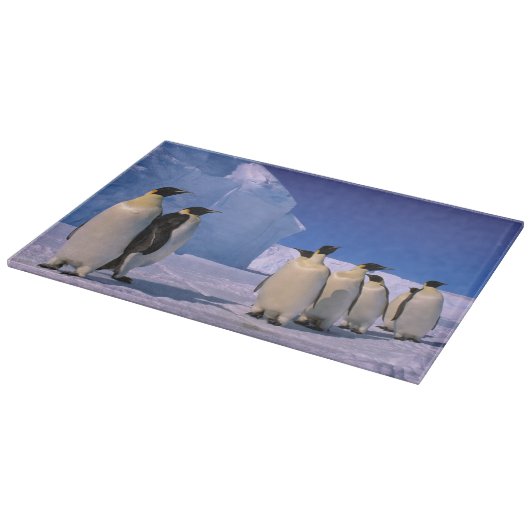 Antarctica, Australisch Antarctisch Territorium, 7 Snijplank (Hoek)