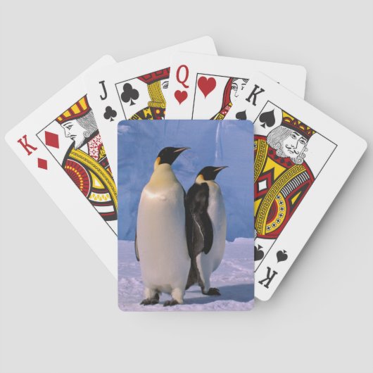 Antarctica, Australisch Antarctisch Territorium, 7 Speelkaarten (Achterkant)