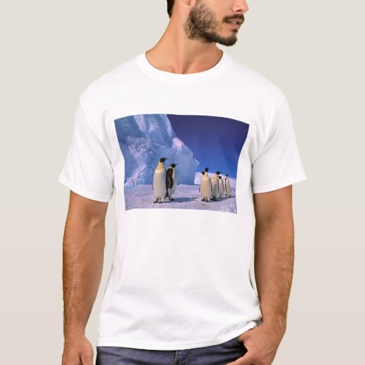 Antarctica, Australisch Antarctisch Territorium, 7 T-shirt (Voorkant)