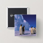 Antarctica, Australisch Antarctisch Territorium, 7 Vierkante Button 5,1 Cm (Voorkant /achterkant)