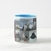 Antarctica Birds Mok (Midden)