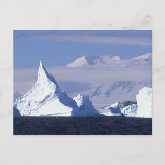 Antarctica, Boothe Island, Aftermiddagzon Briefkaart (Voorkant)
