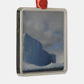 Antarctica, Bransfield Strait, Aftermiddagzon 2 Metalen Ornament (Rechts)