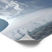 Antarctica, Bransfield Strait, Aftermiddagzon 2 Poster (Hoek)