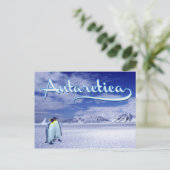 Antarctica Briefkaart (Staand voorkant)