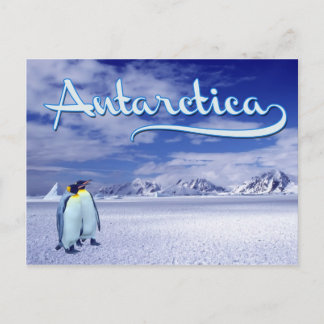 Antarctica Briefkaart